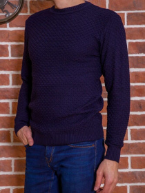 Свитер мужской 161R708 модель У-1119842::000000090 Фото