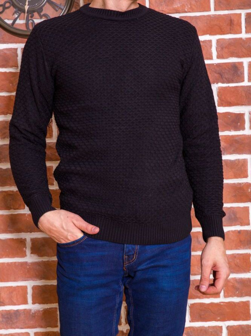 Свитер мужской 161R708 модель У-1119842::000000096 Фото
