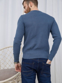 Свитер мужской 161R804 модель У-1119988::У-0002878 Фото