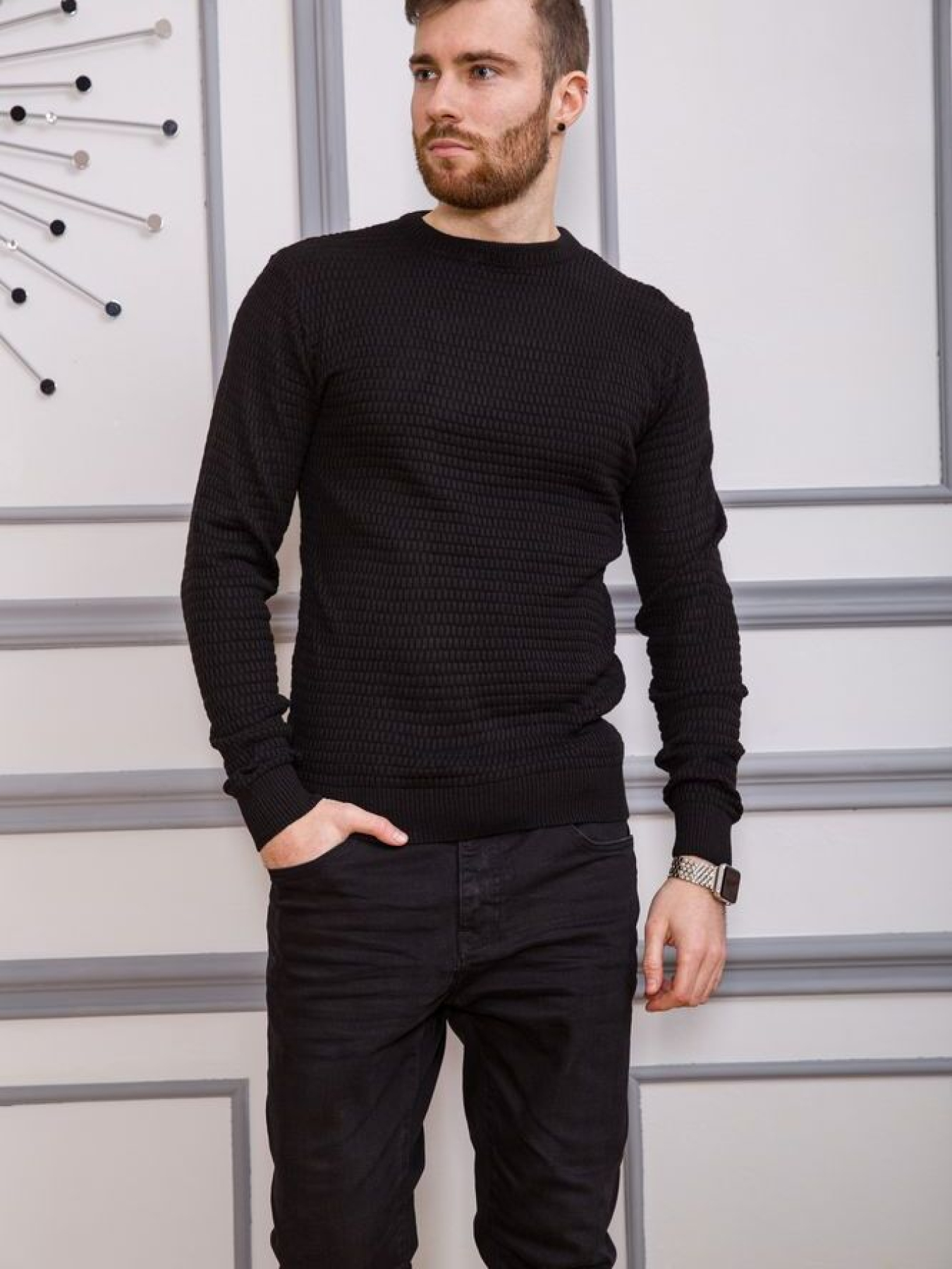 Свитер мужской 161R804 модель У-1119988::000000096 Фото