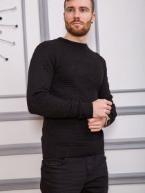 Свитер мужской 161R804 модель У-1119988::000000096 Фото