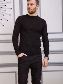 Свитер мужской 161R804 модель У-1119988::000000096 Фото