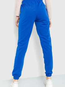 Штаны спортивные Ager модель У-1120591::000000084 Фото