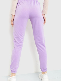 Штаны спортивные Ager модель У-1120591::000000086 Фото