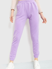 Штаны спортивные Ager модель У-1120591::000000086 Фото