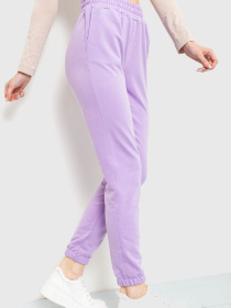 Штаны спортивные Ager модель У-1120591::000000086 Фото