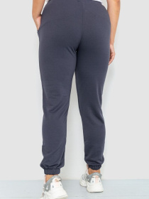 Штаны спортивные Ager модель У-1120591::000000087 Фото