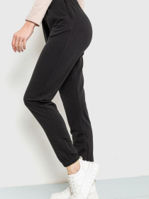 Штаны спортивные Ager модель У-1120591::000000096 Фото