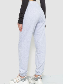 Штаны спортивные Ager модель У-1127643::000000069 Фото