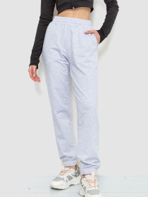 Спортивні штани Ager модель У-1127643::000000069 Фото