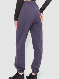 Штаны спортивные Ager модель У-1127643::000000087 Фото