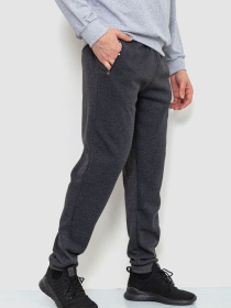 Штаны спортивные Ager модель У-1127599::000000087 Фото