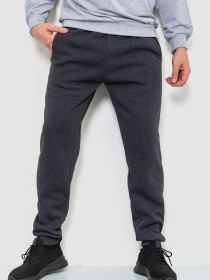 Штаны спортивные Ager модель У-1127602::000000087 Фото