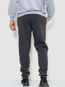 Спортивні штани Ager модель У-1127602::000000087 Спортивні штани Ager модель У-1127602::000000087 Фото