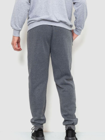 Спортивні штани Ager модель У-1127603::000000072 Спортивні штани Ager модель У-1127603::000000072 Фото