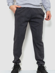 Спортивні штани Ager модель У-1127603::000000087 Фото