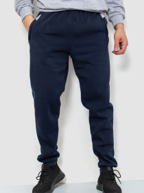 Штаны спортивные Ager модель У-1127603::000000090 Фото