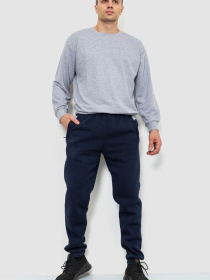 Спортивні штани Ager модель У-1127603::000000090 Спортивні штани Ager модель У-1127603::000000090 Фото