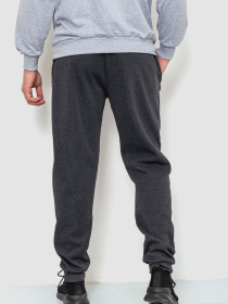 Штаны спортивные Ager модель У-1127600::000000087 Фото