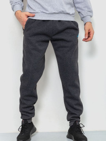 Штаны спортивные Ager модель У-1127600::000000087 Фото