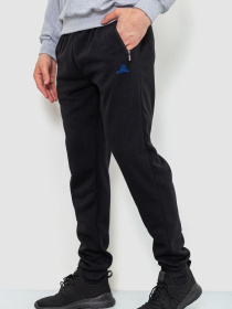 Штаны спортивные Ager модель У-1127600::000000096 Фото