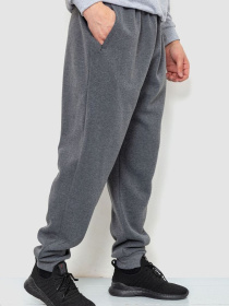 Спортивні штани Ager модель У-1127604::000000072 Спортивні штани Ager модель У-1127604::000000072 Фото