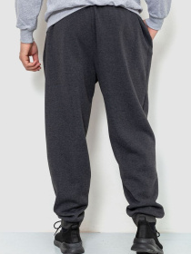 Штаны спортивные Ager модель У-1127604::000000087 Фото