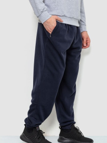 Спортивні штани Ager модель У-1127604::000000090 Фото