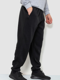 Штаны спортивные Ager модель У-1127604::000000096 Фото