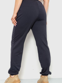 Спортивні штани Ager модель У-1121898::000000090 Фото