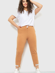 Штаны спортивные Ager модель У-1121896::000000023 Фото