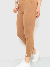 Штаны спортивные Ager модель У-1121896::000000046 Фото