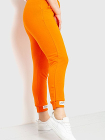 Штаны спортивные Ager модель У-1121896::000000062 Фото