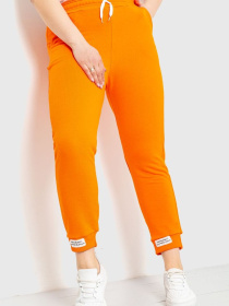 Штаны спортивные Ager модель У-1121896::000000062 Фото