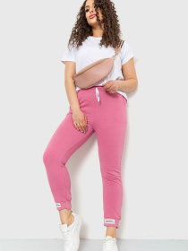 Штаны спортивные Ager модель У-1121896::000000065 Фото