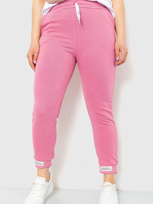 Штаны спортивные Ager модель У-1121896::000000065 Фото