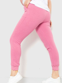 Штаны спортивные Ager модель У-1121896::000000065 Фото