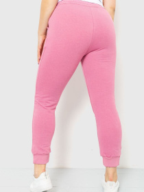 Штаны спортивные Ager модель У-1121896::000000065 Фото