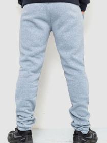 Штаны спортивные Ager модель У-1127114::000000069 Фото