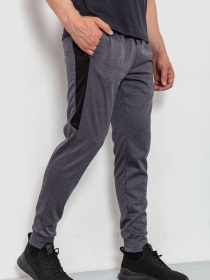 Штаны спортивные Ager модель У-1124483::000000072 Фото