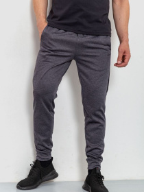 Штаны спортивные Ager модель У-1124483::000000072 Фото