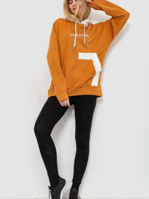 Худи Ager модель У-1126494::000000092 Фото