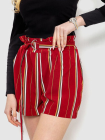 Шорты Ager модель У-1128443::000000029 Фото