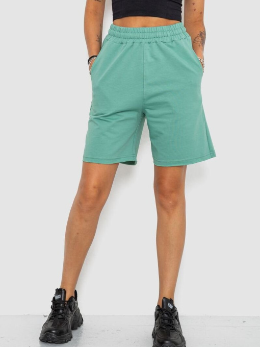 Повседневные шорты Ager модель У-1130440::000000158 Фото