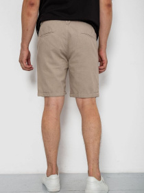 Шорты Ager модель У-1130336::000000023 Фото