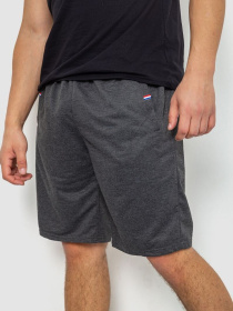 Повседневные шорты Ager модель У-1128323::000000087 Фото