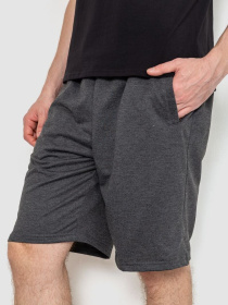 Шорты Ager модель У-1129537::000000087 Фото