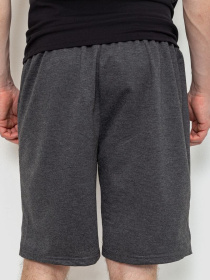 Шорты Ager модель У-1129537::000000087 Фото