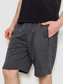 Повсякденні шорти Ager модель У-1129531::000000087 Фото