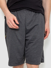 Повсякденні шорти Ager модель У-1129531::000000087 Фото